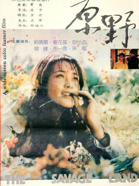 原野封面图