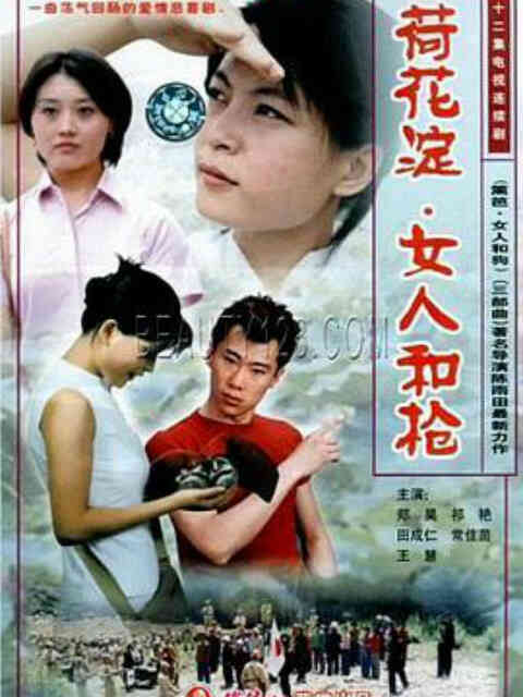 荷花淀、女人和枪封面图