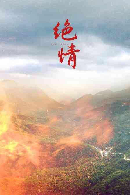 绝情封面图