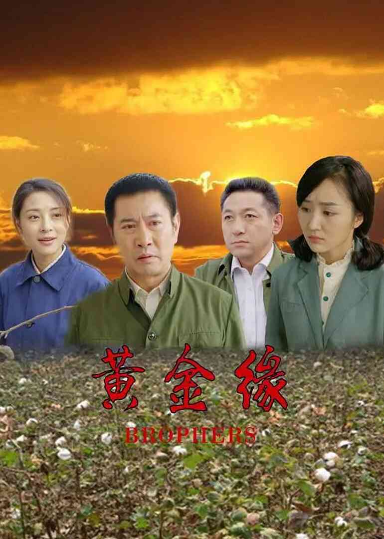 黄金缘封面图