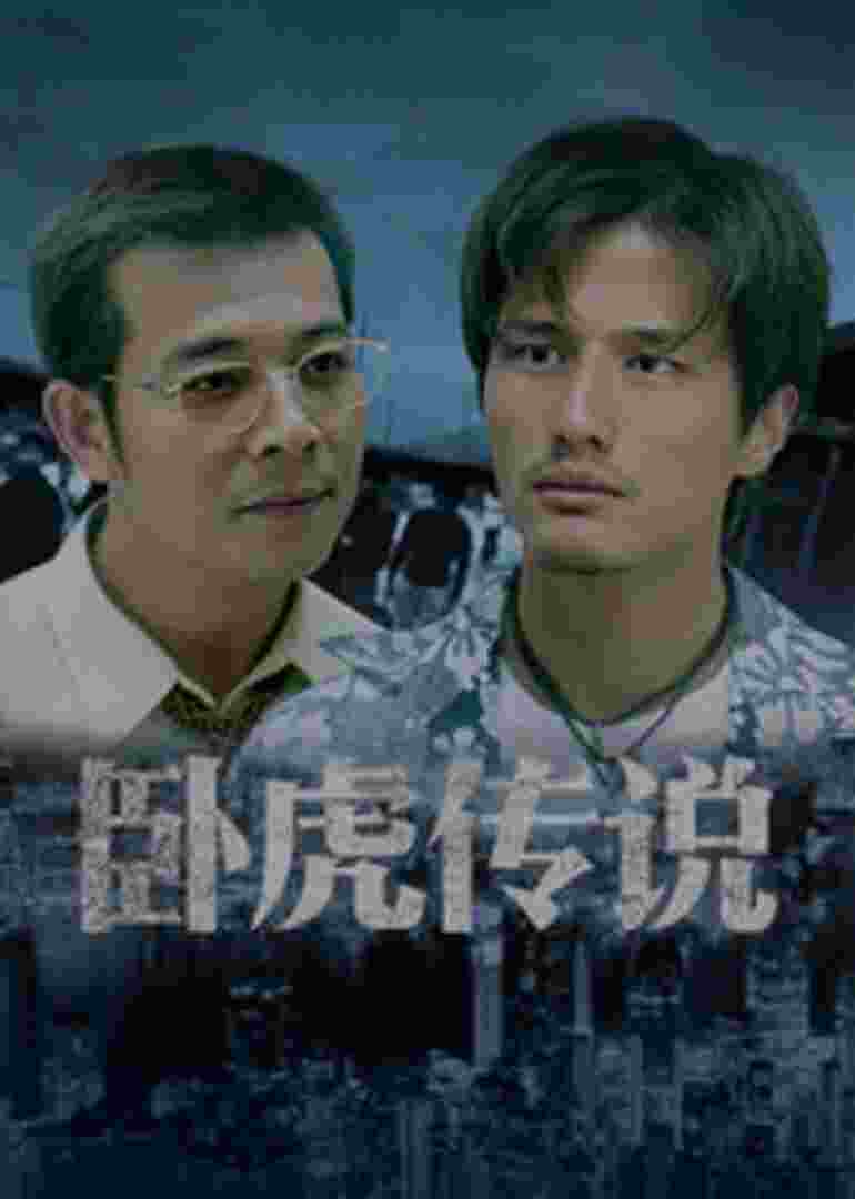 卧虎传说封面图