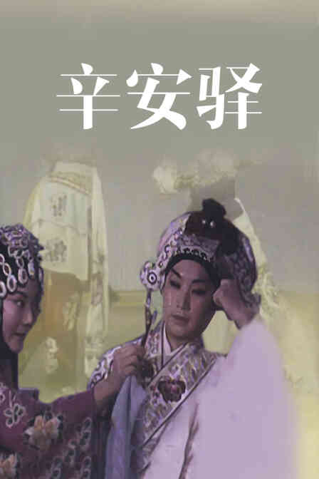 辛安驿封面图