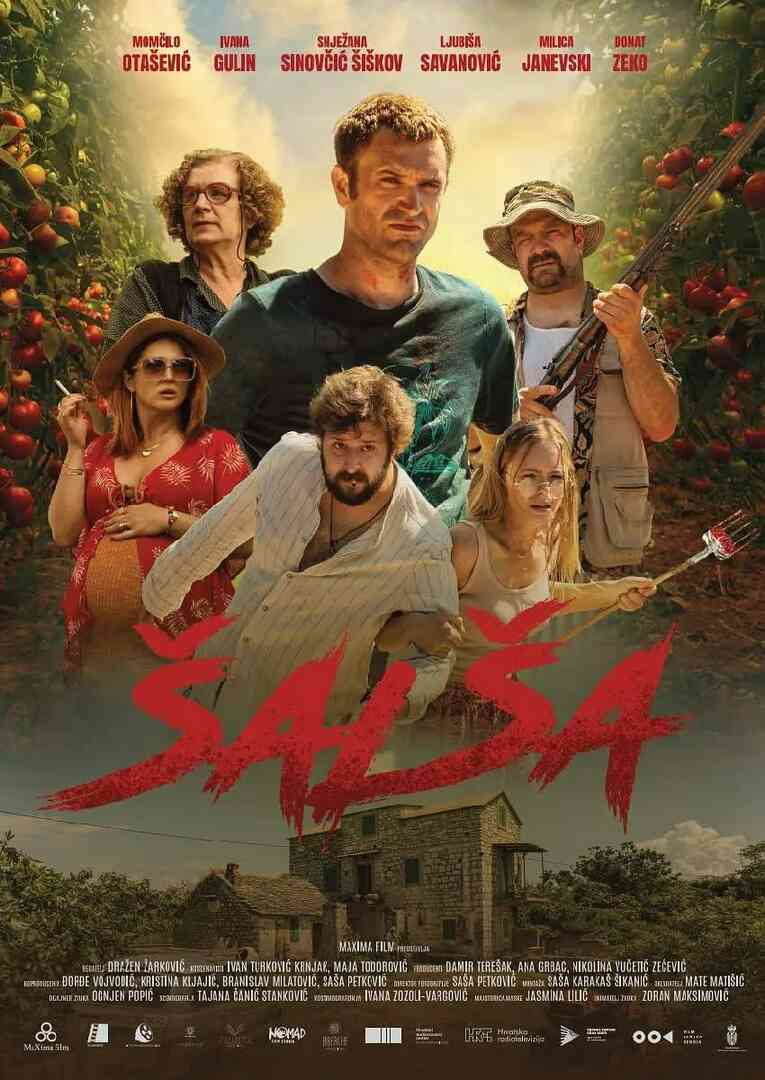 Salsa封面图