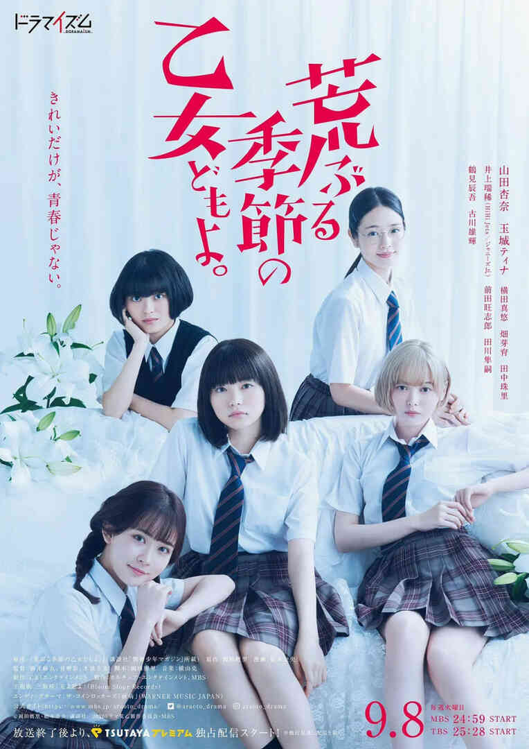骚动时节的少女们啊封面图