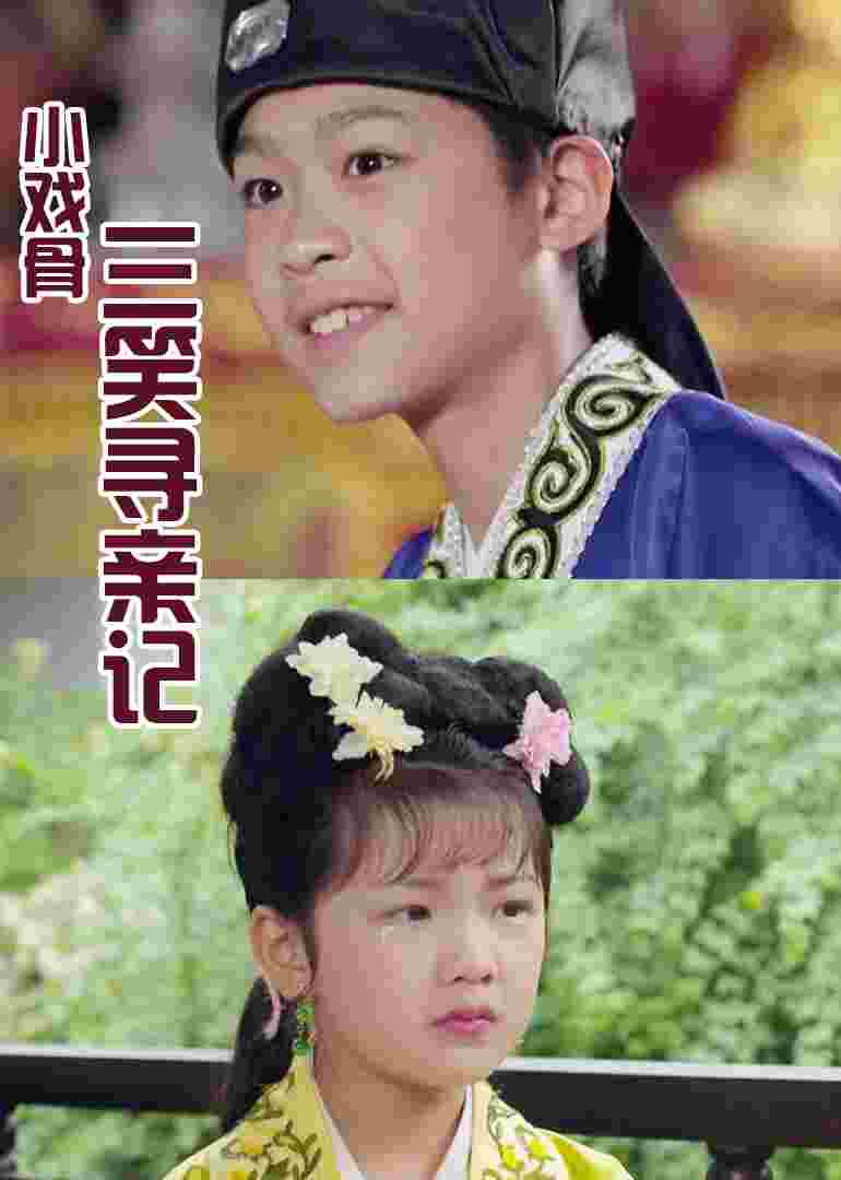 小戏骨三笑寻亲记封面图