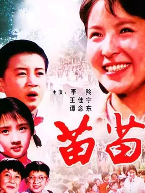 苗苗封面图