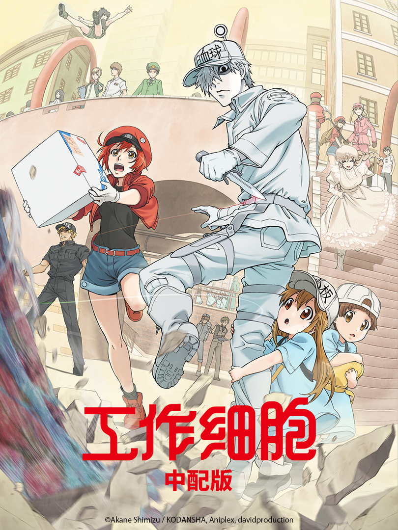 工作细胞（中配版）封面图