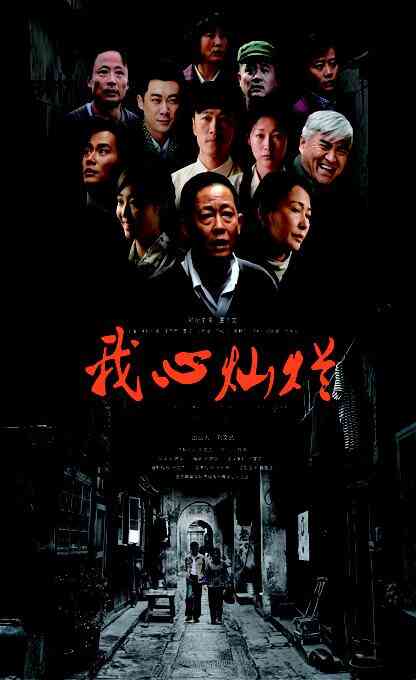 我心灿烂封面图