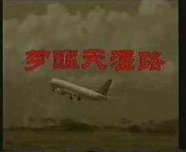 梦醒天涯路封面图