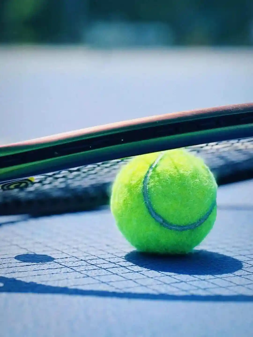 WTA500斯特拉斯堡站女单四分之一决赛：姆博科VS费尔南德斯封面图