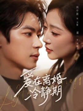 爱在离婚冷静期封面图